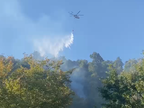Xızıdakı yanğın söndürülüb - YENİLƏNİB