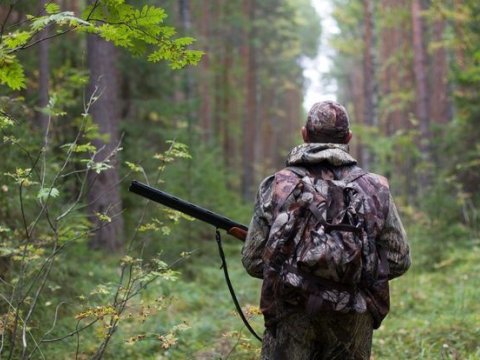 Azərbaycanda ov mövsümü başlayır