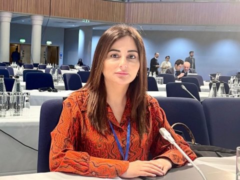 Sərhəddə baş verənlər Qələbəmizi “həzm” edə bilməyənlərin təxribatıdır