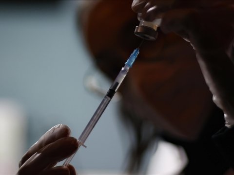 Avropada meymunçiçəyinə yoluxma 24 mini keçdi