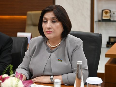 Sahibə Qafarova CAR Milli Assambleyasının sədri ilə görüşdü