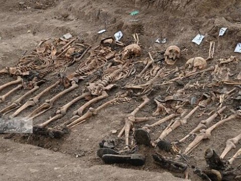 Toronto Universitetinin professoru Edilli cinayətindən dəhşətə gəlib