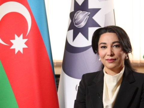 Yeni münaqişə ocağı yaratmağa çalışırlar - Ombudsman