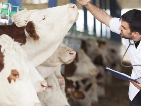 Baytarlıq arayışı ilə bağlı rüsum ləğv edildi