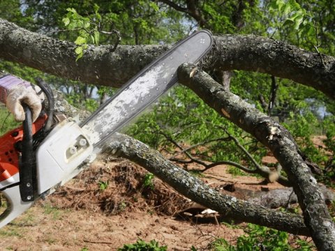 Bakı, Mingəçevir, Lerik və Ucarda \