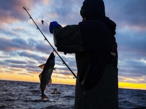 Qanunsuz balıq ovlayanlar cəzalandırıldı