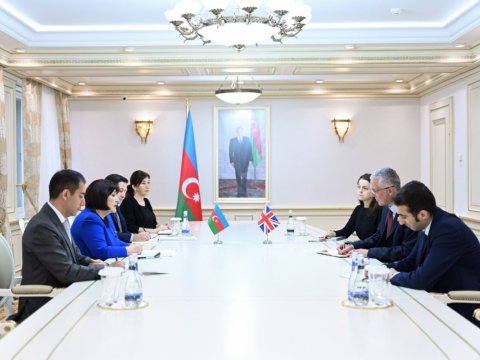 Sahibə Qafarova Britaniya səfiri ilə görüşüb