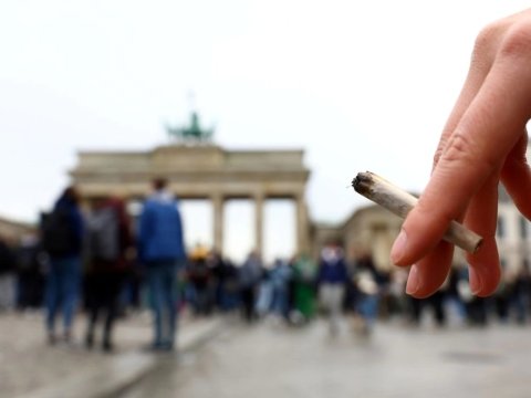 Almaniyada marixuana leqallaşdırılır