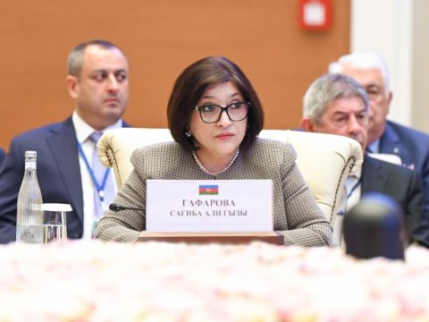 Sahibə Qafarova MDB PA-nın iclasında iştirak edib - FOTO