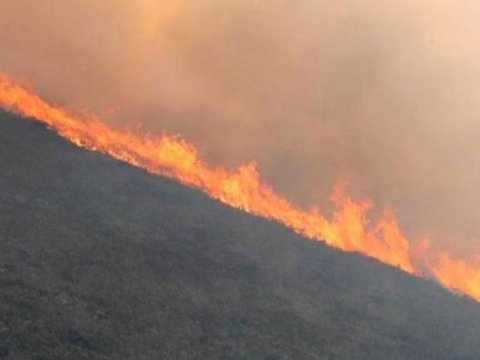 Elə yerlər var ki, 10 dəfə yandırılıb - Nazir müavini