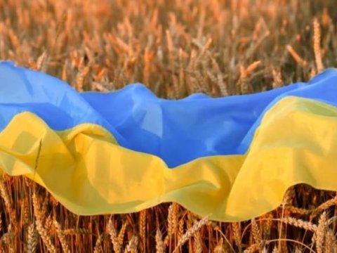 NATO Rusiyanı taxıl sazişini bərpa etməyə ÇAĞIRDI