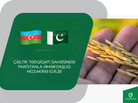 Pakistanla bu sahədə əməkdaşlıq müzakirə edilib