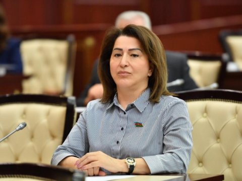 “Uşaqların cinsi istismar təhlükəsi var” - Deputat