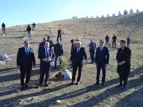 Füzulidə ağacəkmə aksiyası keçirilib - FOTOLAR