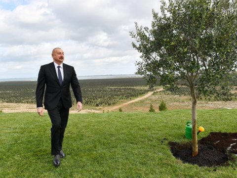 Minlərlə iş yeri yaratmaq planlarımız var - Prezident