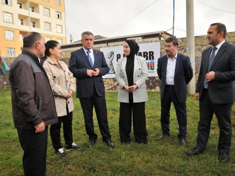 Abşeronda ağacəkmə aksiyası keçirilib