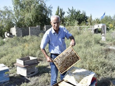 Arıçılara MÜJDƏ!