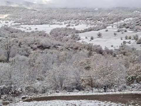 Milli Parklar qar örtüyünə büründü - FOTOLAR