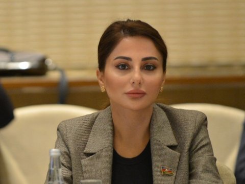 Zəfər Günümüz - Deputat yazır
