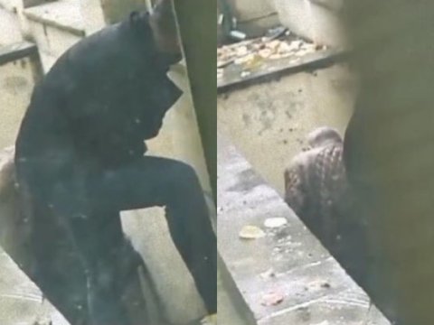 Kliniki Tibbi Mərkəzin həyətində narkomanlar peyda oldu