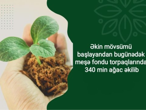 Meşə fondu torpaqlarında 340 min ağac əkilib