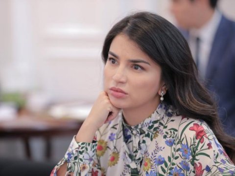 Prezidentin qızına yeni vəzifə verildi