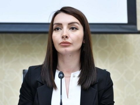 Leyla Abdullayeva Fransa Senatına etirazını bildirdi