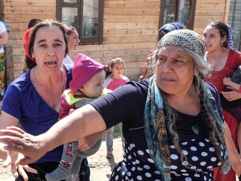 Şirvanda 12 qaraçı saxlanılıb