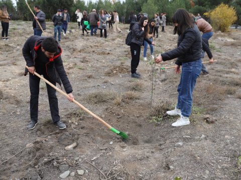 GDU-nun kollektivi ağac əkdi - FOTOLAR