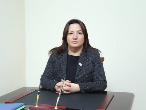 Fransa Senatının qətnaməsi təxribatçı siyasətin təzahürüdür