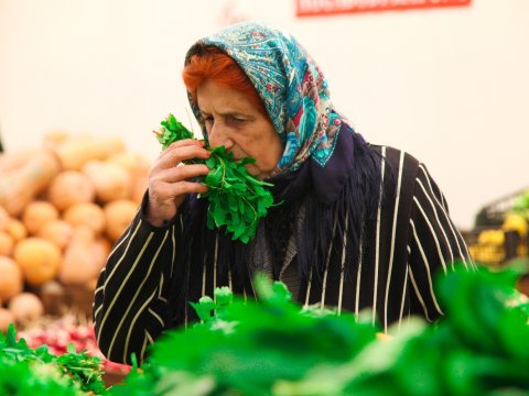 Həftəsonu “Kənddən Şəhərə” yarmarkaları açılacaq - FOTOLAR