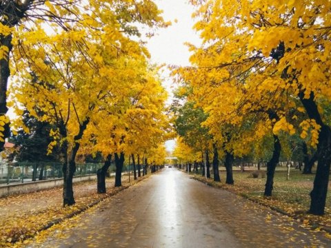 Bu ay temperatur yüksək olub