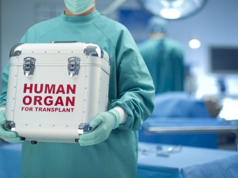 Deputatlar ölümdən sonra orqanlarını bağışlayacaqlar