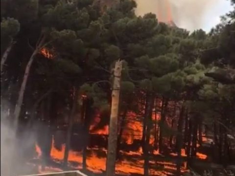 Bakıda yanğın ağaclıq əraziyə keçib