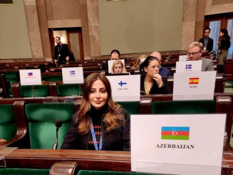 Deputat ATƏT-də Ermənistanın cinayətlərindən danışdı 