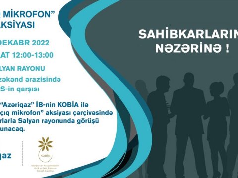 Sahibkarlarla növbəti görüş Salyanda keçiriləcək
