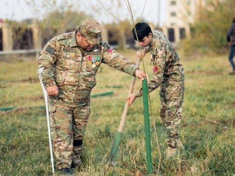 Daha 6 rayonda “Vətən Bağı” yaradıldı - FOTOLAR