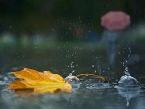 Bu günün hava PROQNOZU