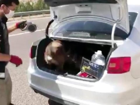 Rektorun maşınından 74 kiloqram narkotik tapıldı