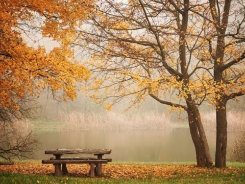 Külək əsəcək, duman olacaq - PROQNOZ