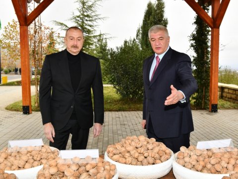 Prezident Aqroparkda yaradılan şəraitlə tanış oldu - FOTOLAR