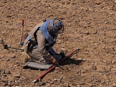 Bu ölkədə 375 min mina məhv edilib
