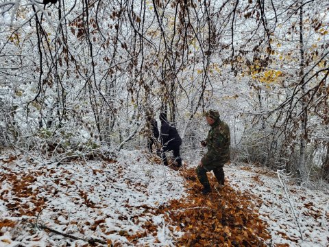 Qəbələdə itkin düşən 49 yaşlı kişi AXTARILIR