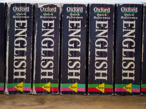 2022-ci ilin ən məşhur sözü