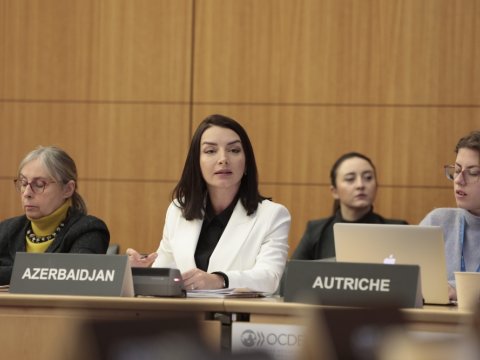 Leyla Abdullayeva Fransada erməniləri susdurdu