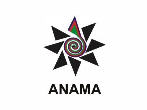 ANAMA-da YOXLAMA - 612 min manat büdcəyə qaytarıldı