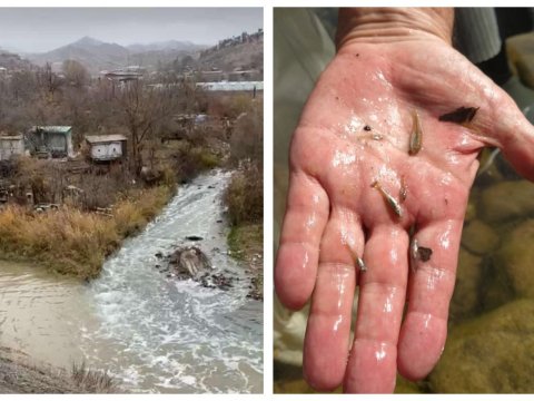 Oxçuçayla bağlı monitorinqin nəticələri Baş Prokurorluğa təqdim edildi