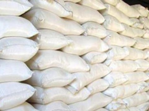 Baş nazir unun qiymətinin artmasından DANIŞDI