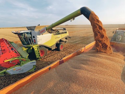 “Taxıl dəhlizi”ndən 14 milyon tona yaxın məhsul daşınıb