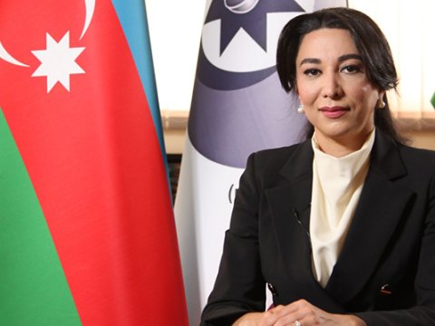 Ombudsman beynəlxalq ictimaiyyətə müraciət etdi